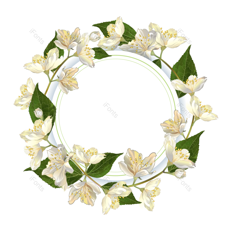 边框图片,花卉元素,花卉边框PNG,花朵免抠素材